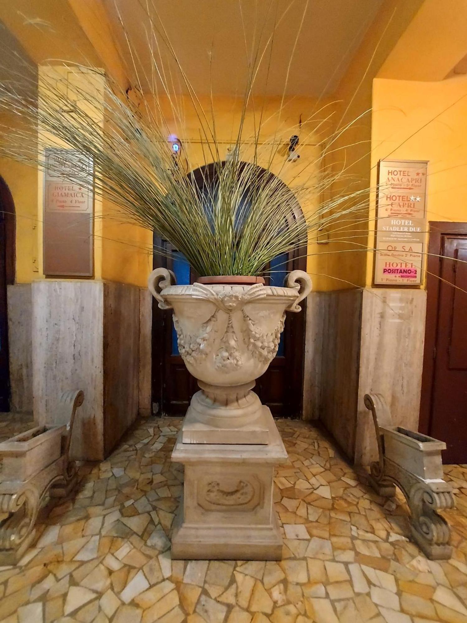 Positano 2 Mimosa * Roma